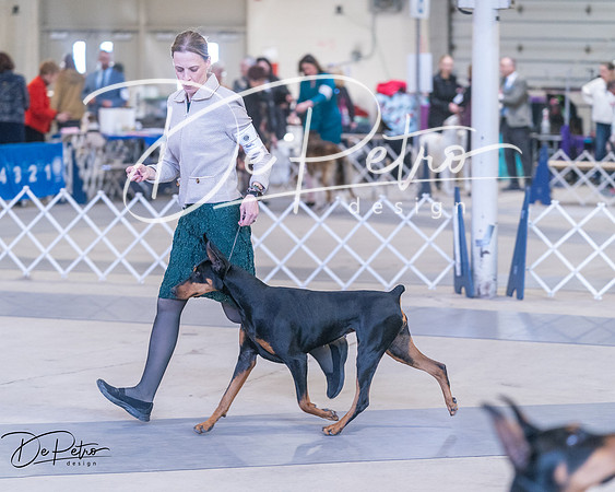 20250302-DSC06655