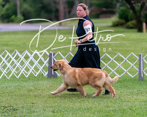 20240630-DSC00794