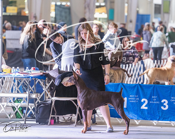 20250302-DSC07239