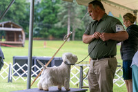 20250626-DSC02654