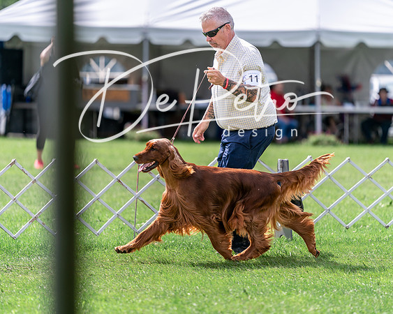 20240630-DSC03908