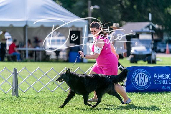 20240630-DSC04681