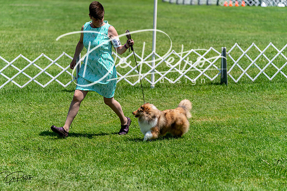 20240630-DSC01372