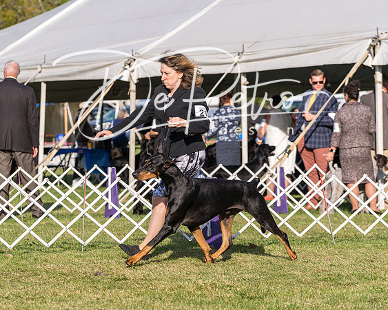 20190929-DSC02607