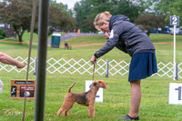 Terriers 6/26