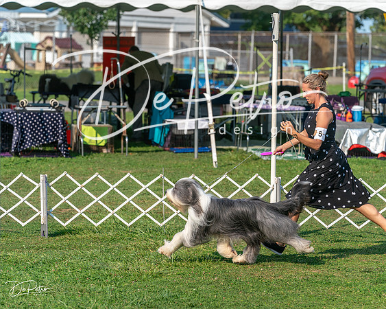 20240913-DSC09951