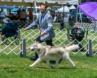 20250629-DSC09368