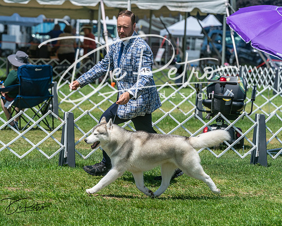 20250629-DSC09368