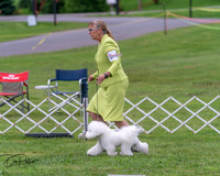 20250627-DSC06428