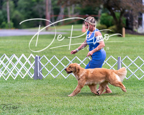 20240630-DSC00142