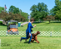20250629-DSC00097