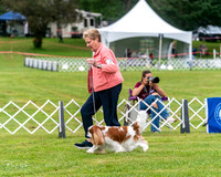 20250626-DSC03091