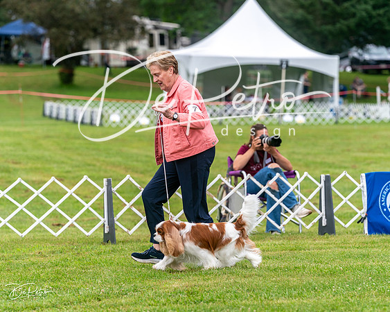 20250626-DSC03091