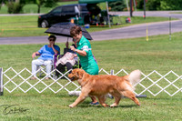 20250628-DSC07744