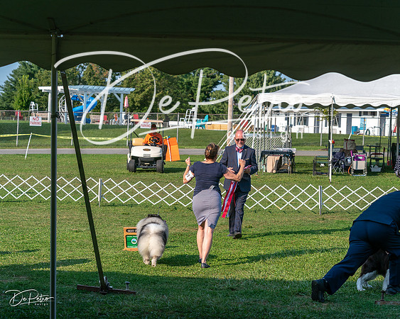 20240913-DSC00514