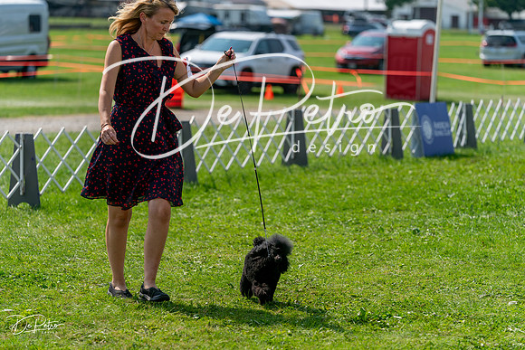 20240816-DSC00459