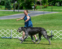 20250629-DSC09413