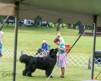 20250626-DSC04133