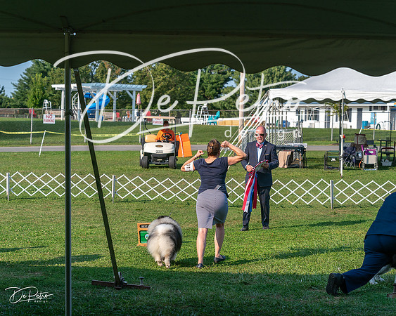 20240913-DSC00506