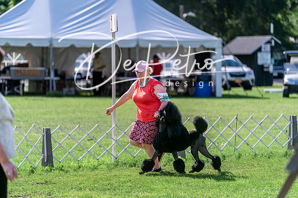 20240630-DSC05030
