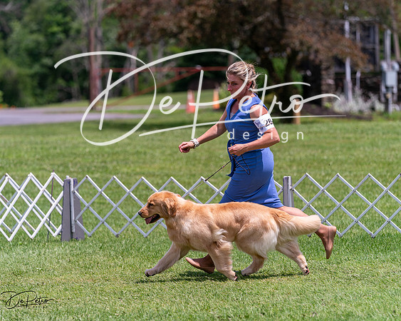 20240630-DSC00408