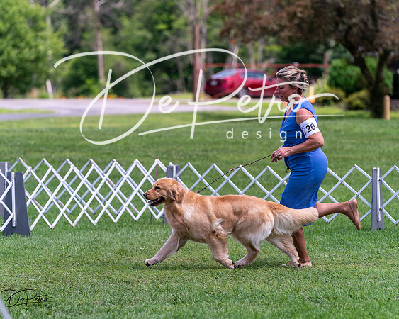 20240630-DSC00309
