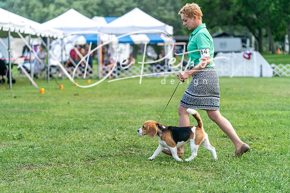 20240630-DSC05434