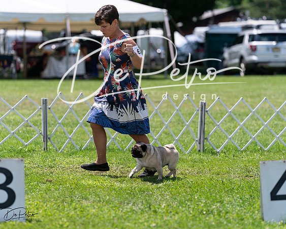 20240630-DSC01394