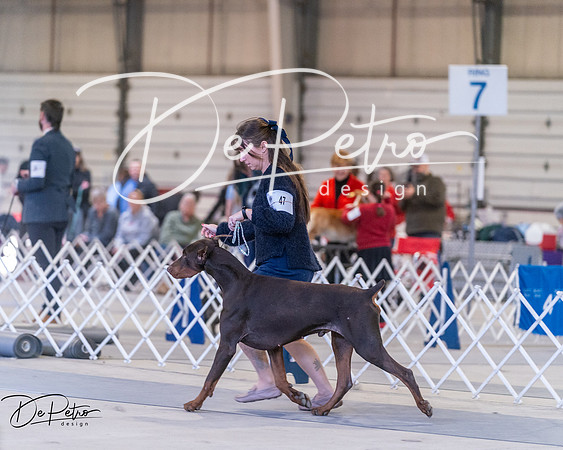 20250302-DSC06318