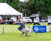 20240630-DSC03840