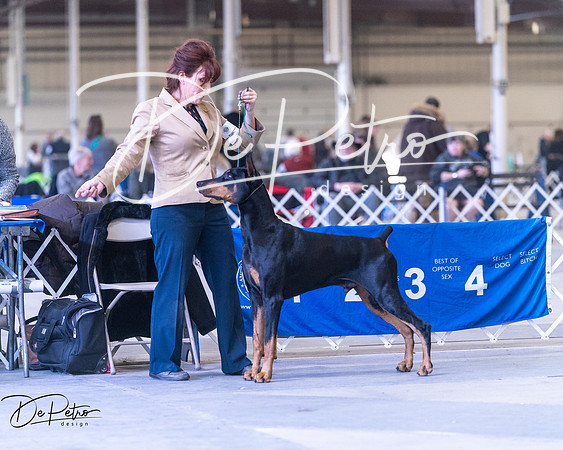 20250302-DSC06929