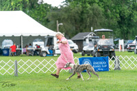 20240630-DSC02226