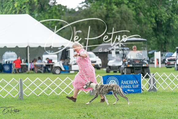 20240630-DSC02226