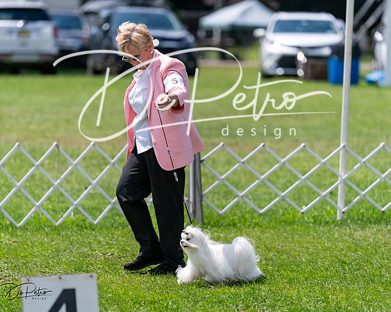 20240630-DSC01660