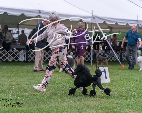 20250627-DSC06767
