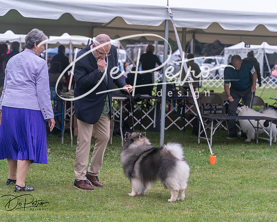 20250627-DSC06543