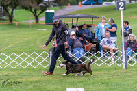 20250627-DSC06274