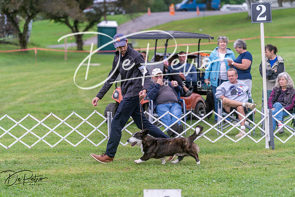 20250627-DSC06274