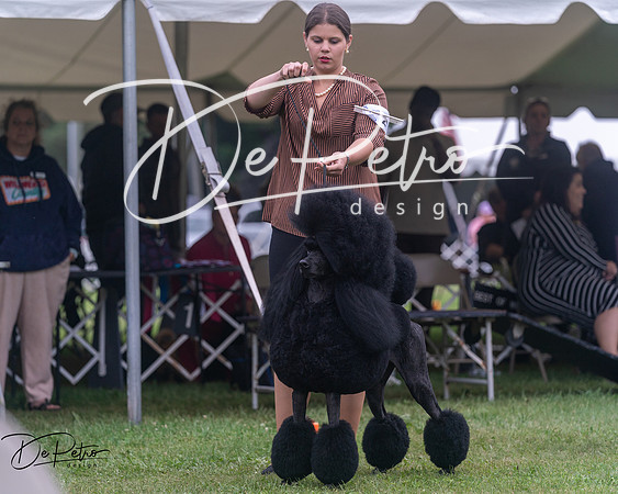 20250627-DSC06774