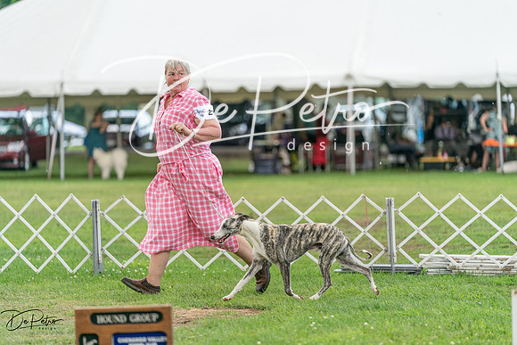 20240630-DSC02252