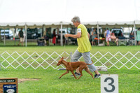 20240630-DSC02277