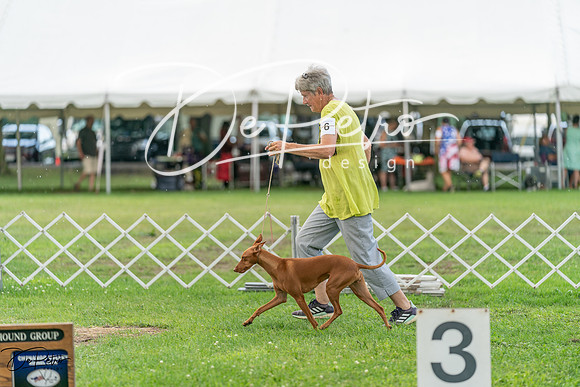 20240630-DSC02277