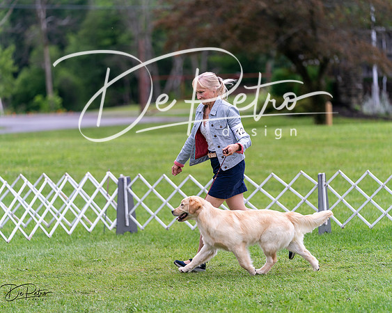 20240630-DSC00837