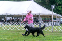 20250626-DSC02171