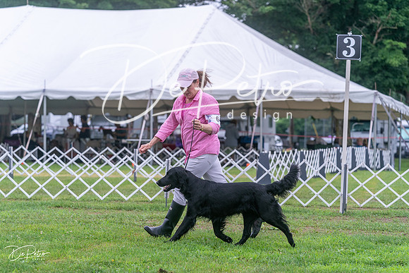 20250626-DSC02171