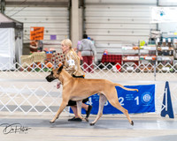 20250301-DSC03886