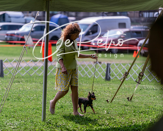 20240815-DSC06520