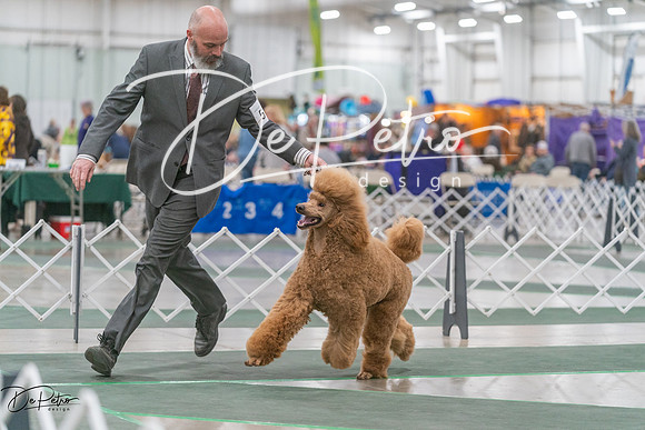 20250315-DSC08160