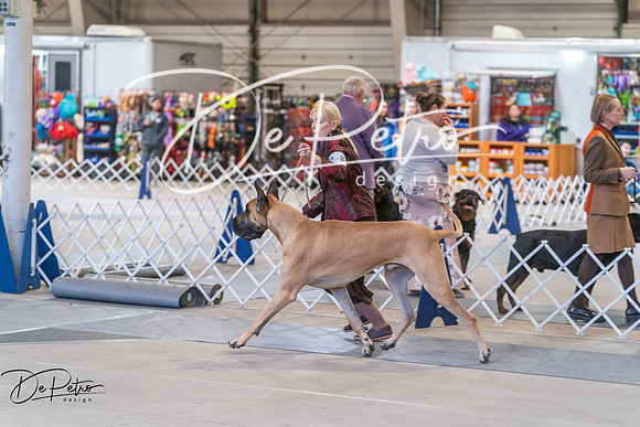 20250302-DSC06048
