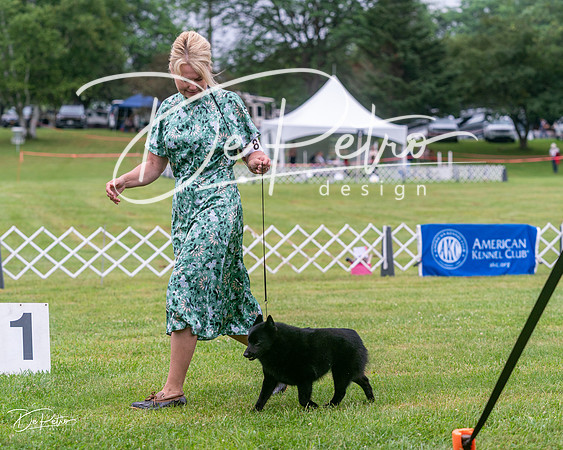 20250626-DSC03731